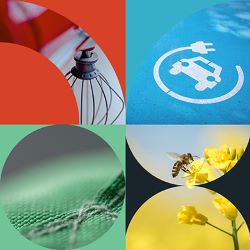 Abstract cropped imagery on red, blue, yellow, and green strips equally spread from side to side